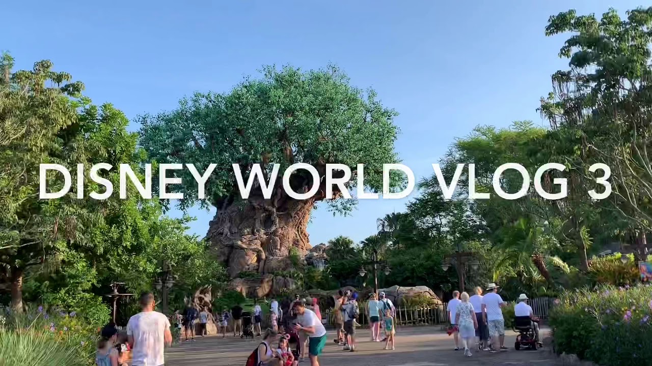 Disney World Animal Kingdom - YouTube
