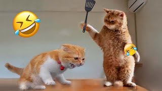 🐕🐱 Funniest Cats and Dogs 😍🤣 Best Funniest Animals Video 2024 #7