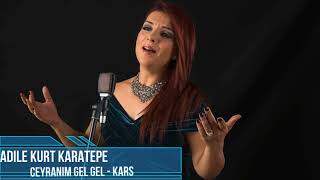 Adile Kurt Karatepe - Ceyranım Resimi
