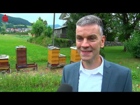 2019 07 03 Bienenprojekt Bee Team Sparkasse Haslach Zell v2