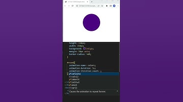 CSS @keyframes Animation