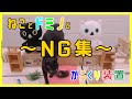 ねことドミノとからくり装置/NG集