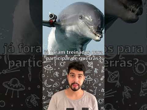 Vídeo: Os golfinhos eram usados na guerra?