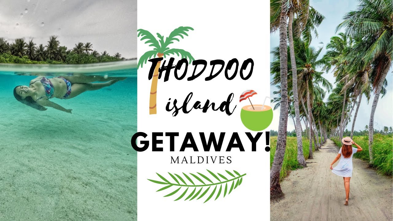 Thoddo THODDOO! Unique Maldives local island (island walk tour, beach & coming ...