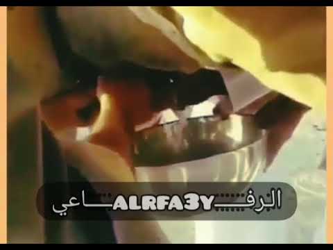 ود البناء جقله دوبيت حليب الابل الرف3اعي