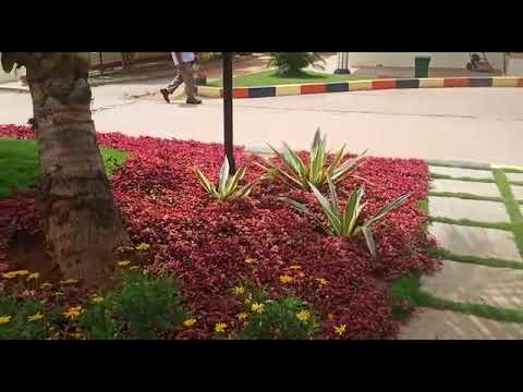 romanieo landscaapes pvt ltd project - video from Romanieo Landscapes