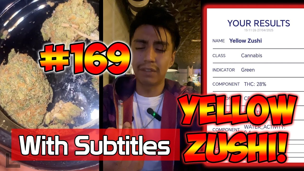Yellow Zushi (C) Review With Subtitles 