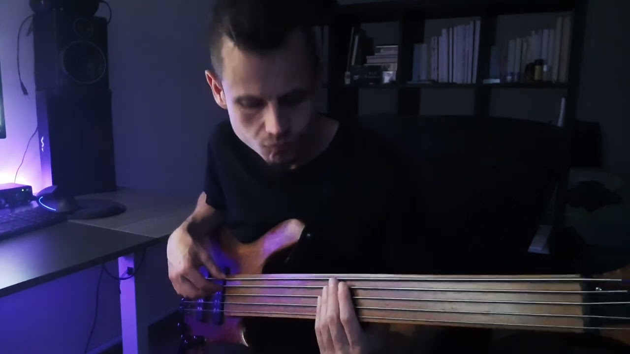 Ensemble Salazar-Bir Enzarane (cover excerpt I.) Fretless Bass