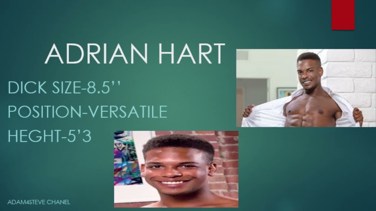 BIGGEST GAY BLACK PORNSTARS 2025