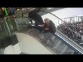 Escalator fail polish men fall upstairs many times