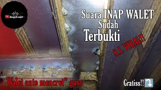 SUARA INAP WALET  VIRAL BIKIN WALET GAK MAU KELUAR  !!!