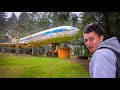I Found This Airplane in the Forest Using Tik Tok