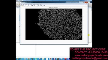 Matlab projects for  Identification rice grain using image processing techniques