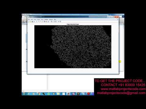 Matlab projects for  Identification rice grain using image processing techniques