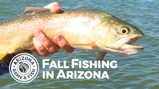 Fall Fishing in Arizona by Arizona Game And Fish 894 views 6 months ago 1 minute, 38 seconds