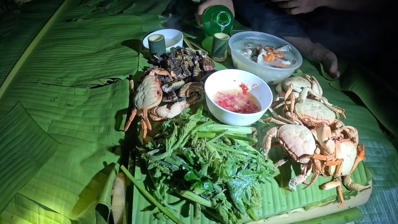 #799. Thức ăn hoang dã nhiều vô kể, phiêu lưu trong rừng