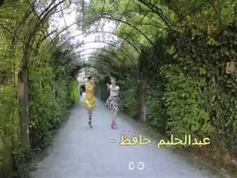 يا شعر ليل
