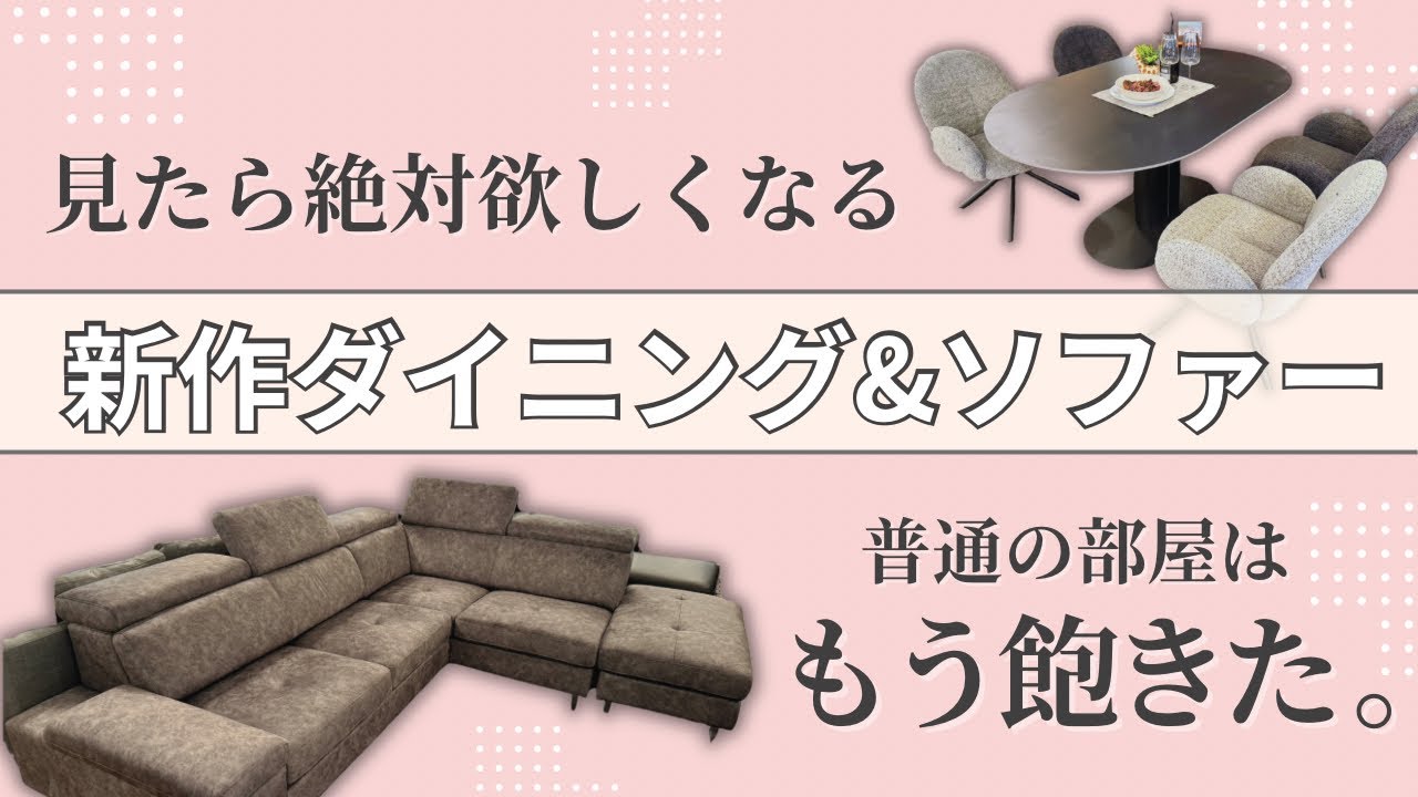 New Arrivals] Introducing Our Carefully Selected Sofa & Dining