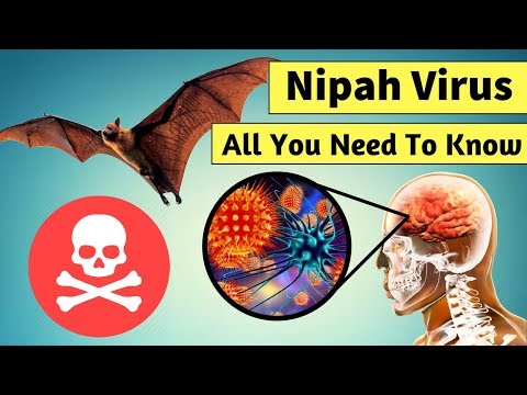 All About Deadly Nipah Virus - Signs, Symptoms & Prevention
