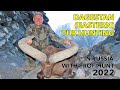 Dagestan (Eastern) Tur hunting in Russia with ProfiHunt 2022