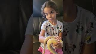 Ball python attack