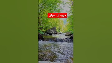 #سورة_آل_عمران #قران_كريم #قرآن #تلاوة_خاشعة #quran #allah #tilawat #اطمئنان#fyp #viral #viralshort#