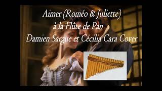 Aimer à la Flûte de Pan (Roméo & Juliette) - Cécilia Cara et Damien Sargue Cover