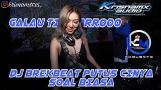 DJ BREKBEAT INDO LAGU GALAU ||  PUTUS CINTA SOAL BIASA