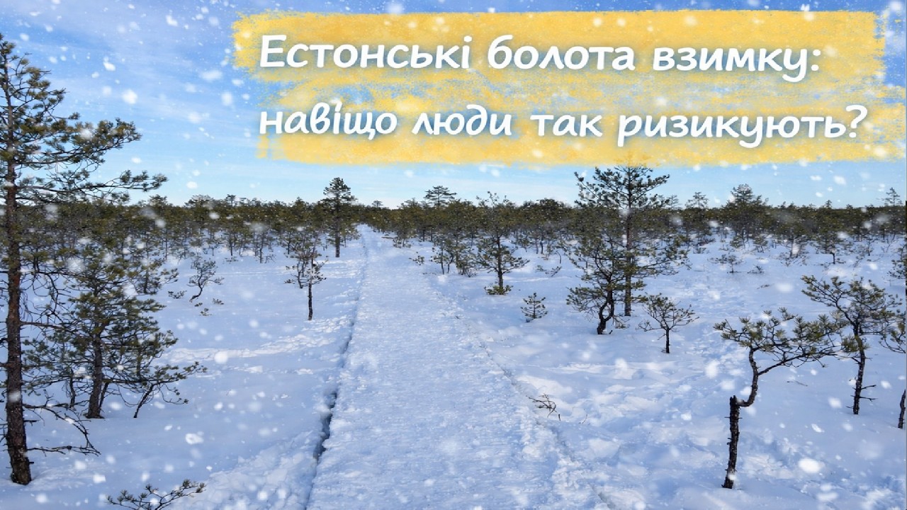 Естонські болота взимку: навіщо люди так ризикують?