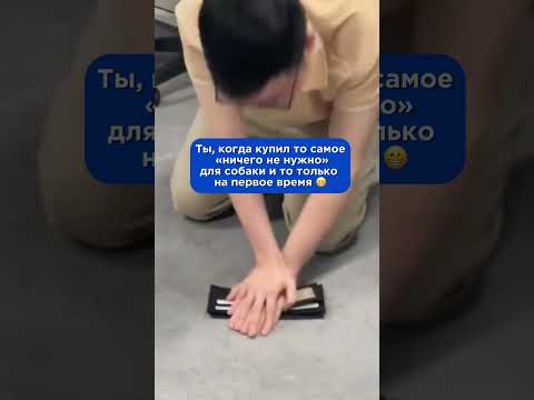 Какая у вас была самая большая трата на питомца