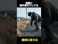 道端に落ちている棒を拾ってはいけない理由の都市伝説に関する雑学