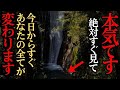 神回⚠️ご縁がある人しか見れません◯◯は龍※ 普段入れない!貴重映像!浄化!癒され清められる世界遺産の那智の滝 #パワースポット #遠隔参拝 #絶景 #世界遺産