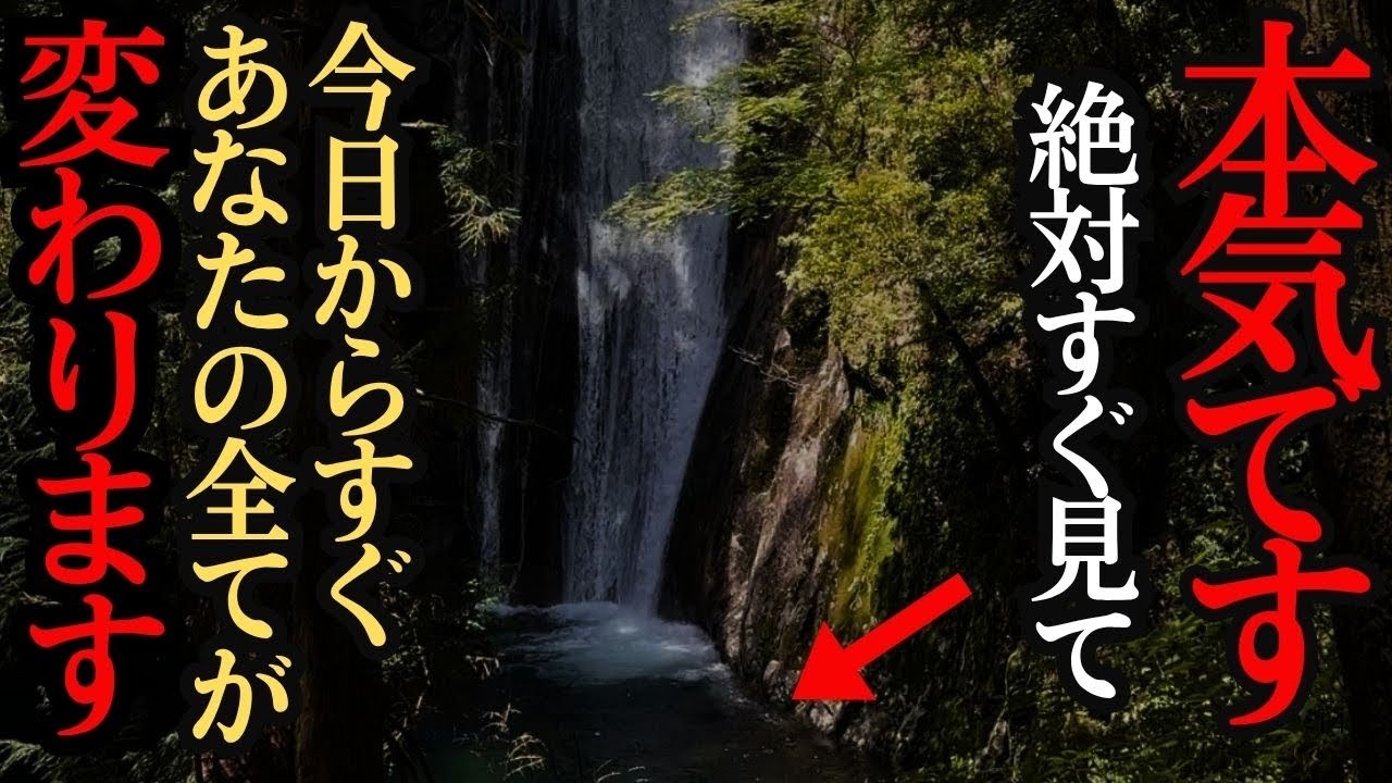 神回⚠️ご縁がある人しか見れません◯◯は龍※ 普段入れない!貴重映像!浄化!癒され清められる世界遺産の那智の滝 #パワースポット #遠隔参拝 #絶景 #世界遺産