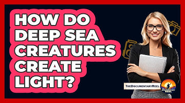 How Do Deep Sea Creatures Create Light? - The Documentary Reel
