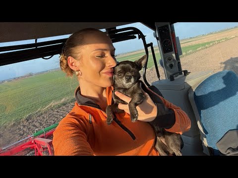 Barley seeding + one-month checkup! 🤝