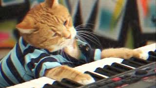 Keyboard Cat Neener!
