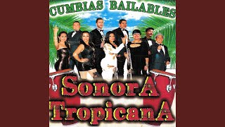 Video thumbnail of "Sonora Tropicana - Acariciame"