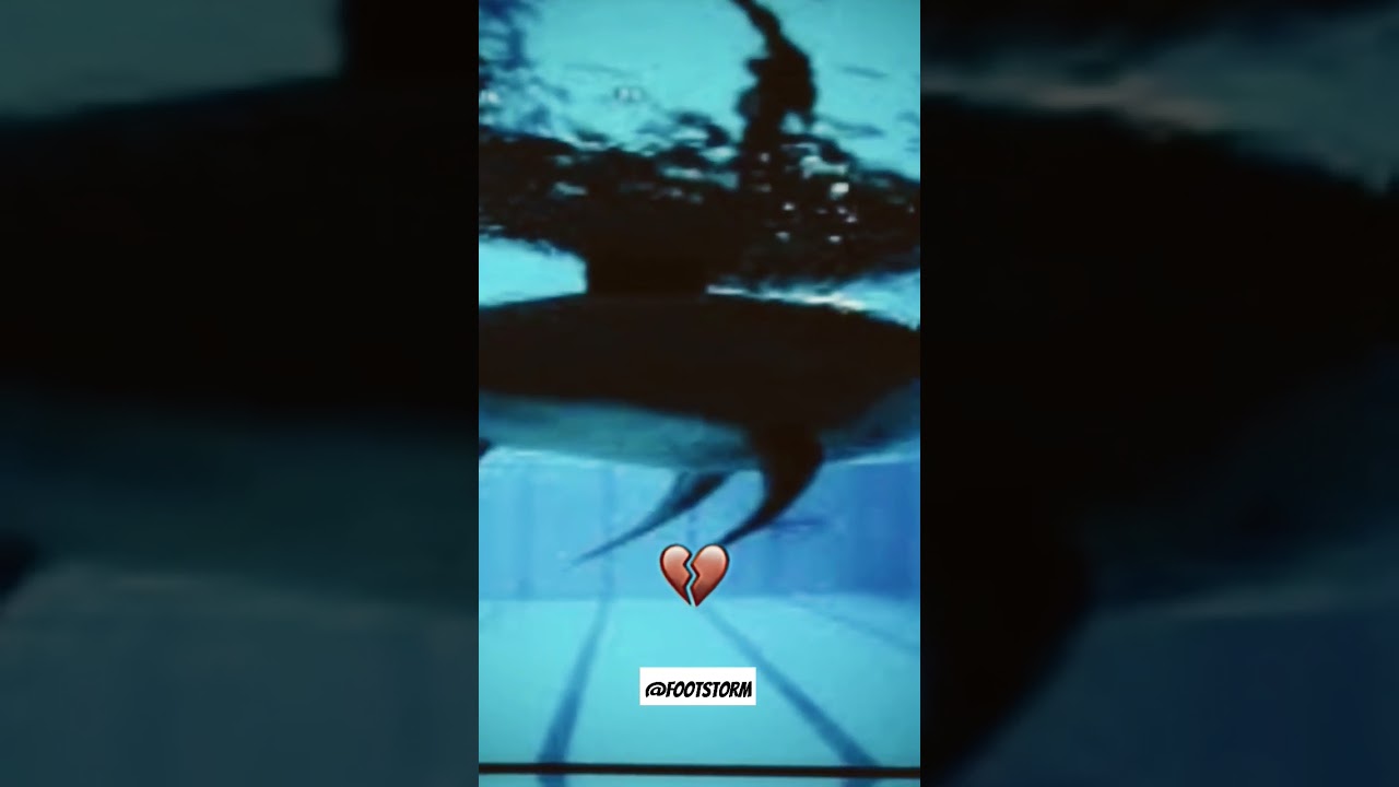 The shark is in danger