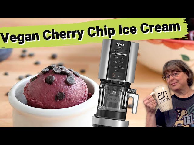 Vegan Ninja Creami Ice Cream Recipes Plant-Based