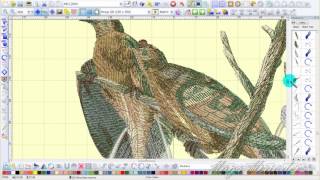 split by stitch count in embird 3