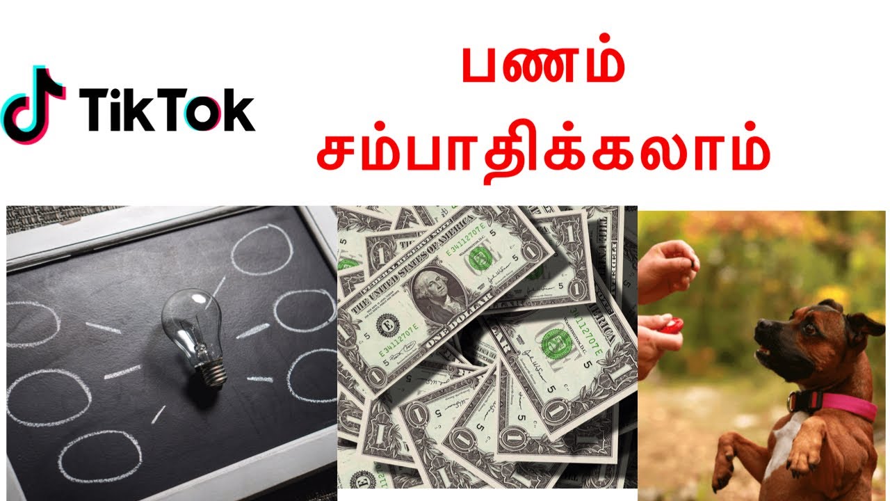 How To Earn Money From Tiktok in Tamil 2020 | tips to earn