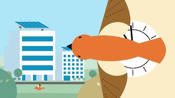 PG&E Residential Time-of-Use Rate Plans