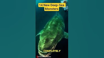 The Aliens Next Door: 14 Bizarre New Species Discovered in the Abyss.     #documentary#usashorts#fyp