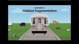 5/16/2022 AP Environmental Science Final Project