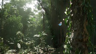 Most Realistic Rain Forest Biome - Unreal Engine 5.2 - 4K
Demo Created by MAVI https://www.youtube.com/c/MAWIUnitedGmbH
Download MW Tropical Rainforest Biome - Runtime Demo: https://whammes.artstation.com/store/gMzgO/mw-tropical-rainforest-biome-runtime-demo
MAWI Store Page: https://www.unrealengine.com/marketplace/en-US/profile/MAWI+United?count=20&sortBy=effectiveDate&sortDir=DESC&start=0
Specs
I9 14900k
32GB RAM
Nvidia RTX 4090 FE
Full Nanite support:
All assets are high-res Nanite meshes including trees and plants, as well as rocks and debris, are all using Nanite by default. Everything is tweaked to the max to produce truly next-gen visuals.
Powerful procedural generation:
Full procedural forest generation or painting with high performance interactive foliage and advanced wind system.
Build a incredibly detailed forest with thousands of trees only with a few clicks, using powerful procedural foliage generation.
Advanced materials and function:
The advanced ground material with 6 different surface types: forest, meadow, moss, stones, dirt & mud automatically generates all the small ground cover and foliage. Procedural puddles, wetness functions are only some of the powerful material functions include with the product. Most Realistic Rain Forest Biome - Unreal Engine 5.2 - 4K