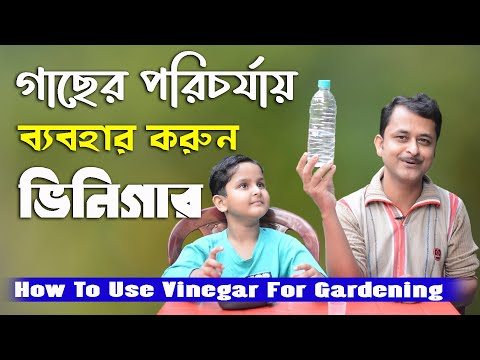 ভিডিও: ভিনেগারের উপকারিতা: বাগানে ভিনেগার কীভাবে ব্যবহার করবেন