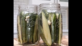 how to make homemade dill pickles easy refrigerator recipe