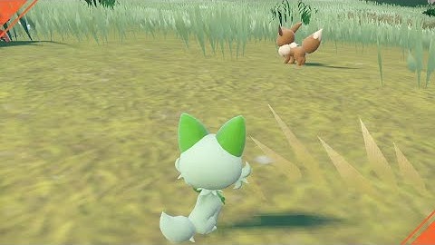 Sprigatito joins Eevee