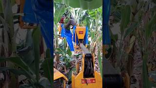 Working Platform For Banana Orchards Height Upto 3.70 M || Made By Afron Israel || #Shorts