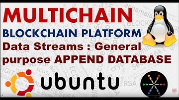 Multichain : Appending Data to Blockchain with DATA STREAMS (M-3)